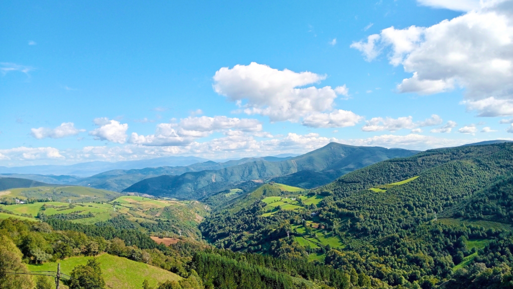 Why Summer is the Perfect Time to Walk the Camino de Santiago
